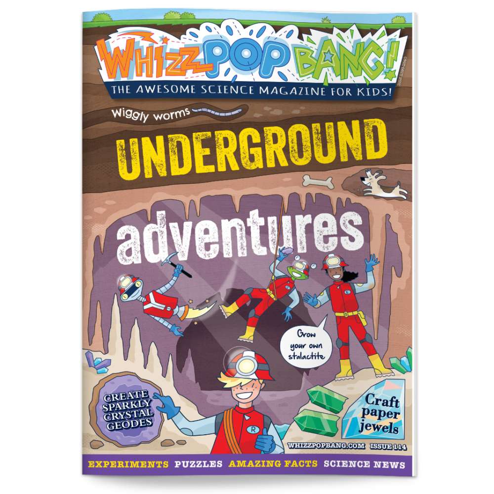 Issue 114 image 1