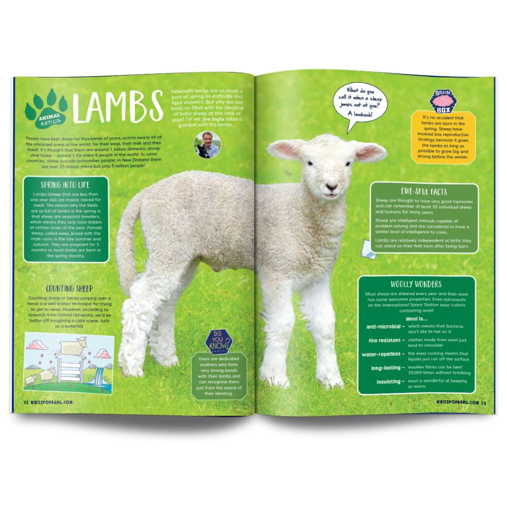 Issue 116 image 3