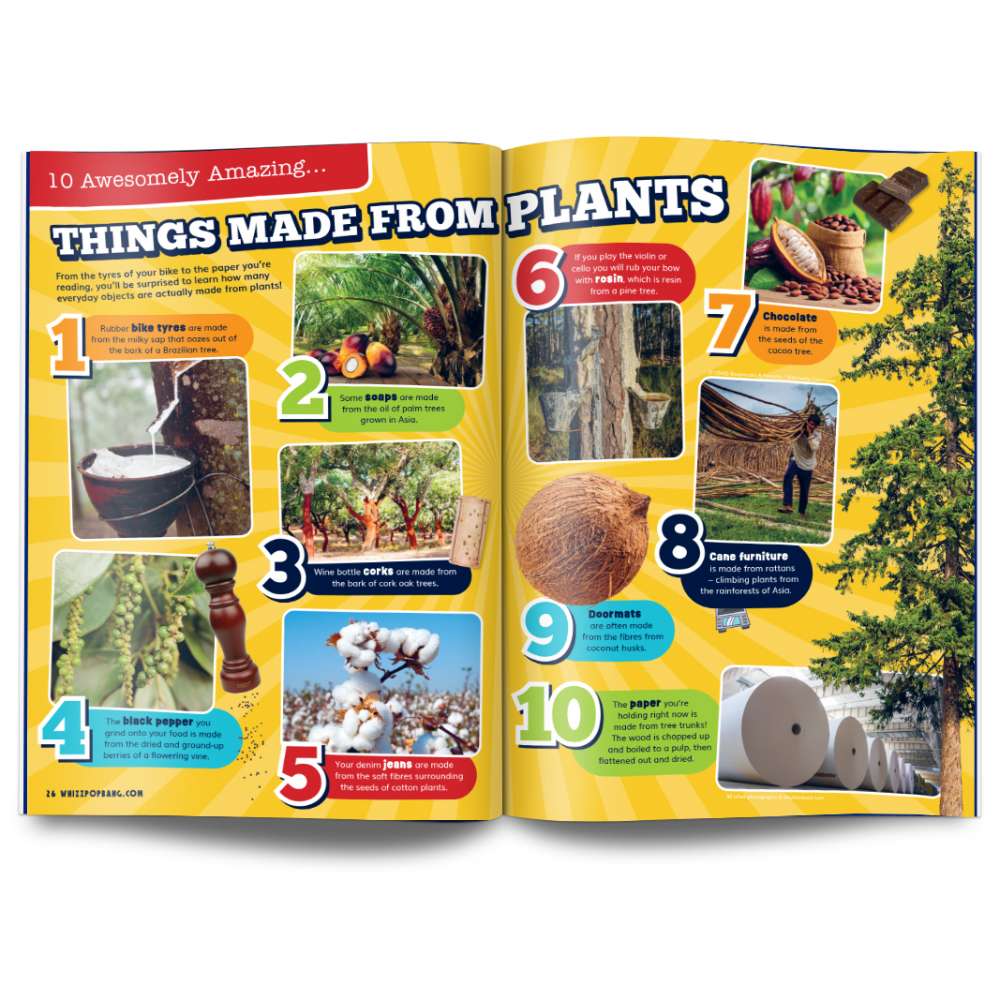 Issue 116 image 4