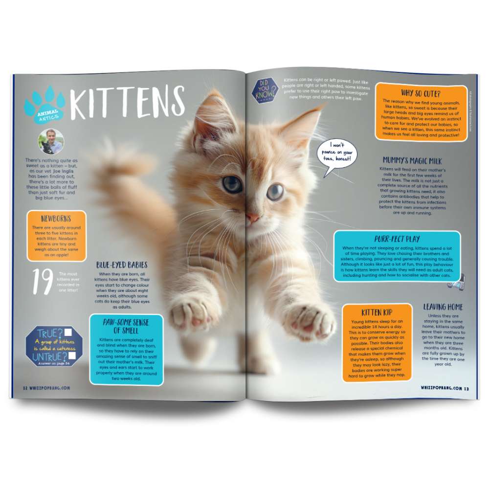 Issue 117 image 3