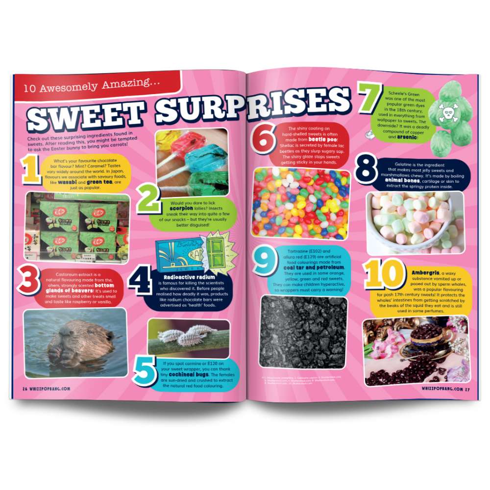 Issue 117 image 5