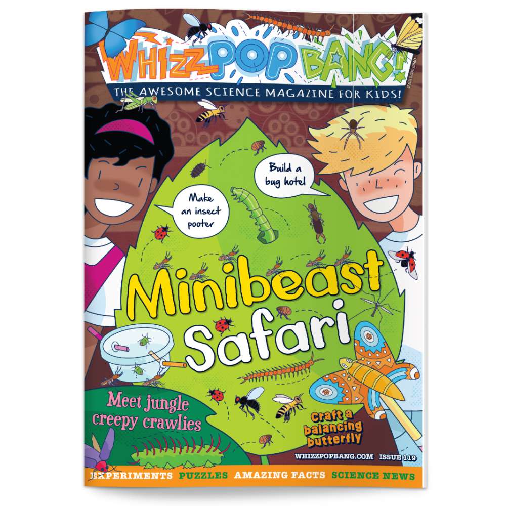 Issue 119 image 1
