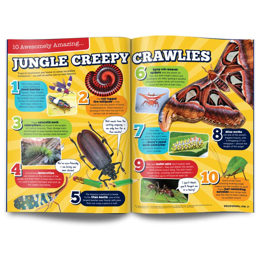 Issue 119 image 4