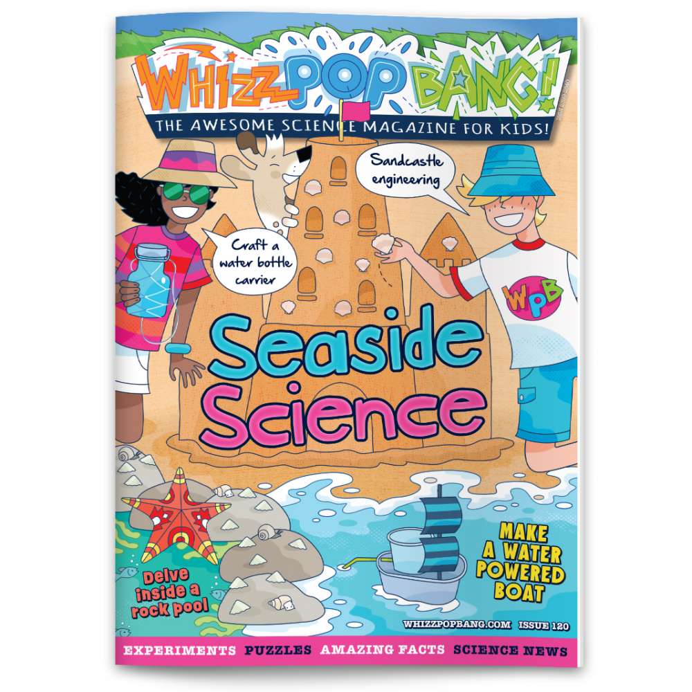 Issue 120 image 1
