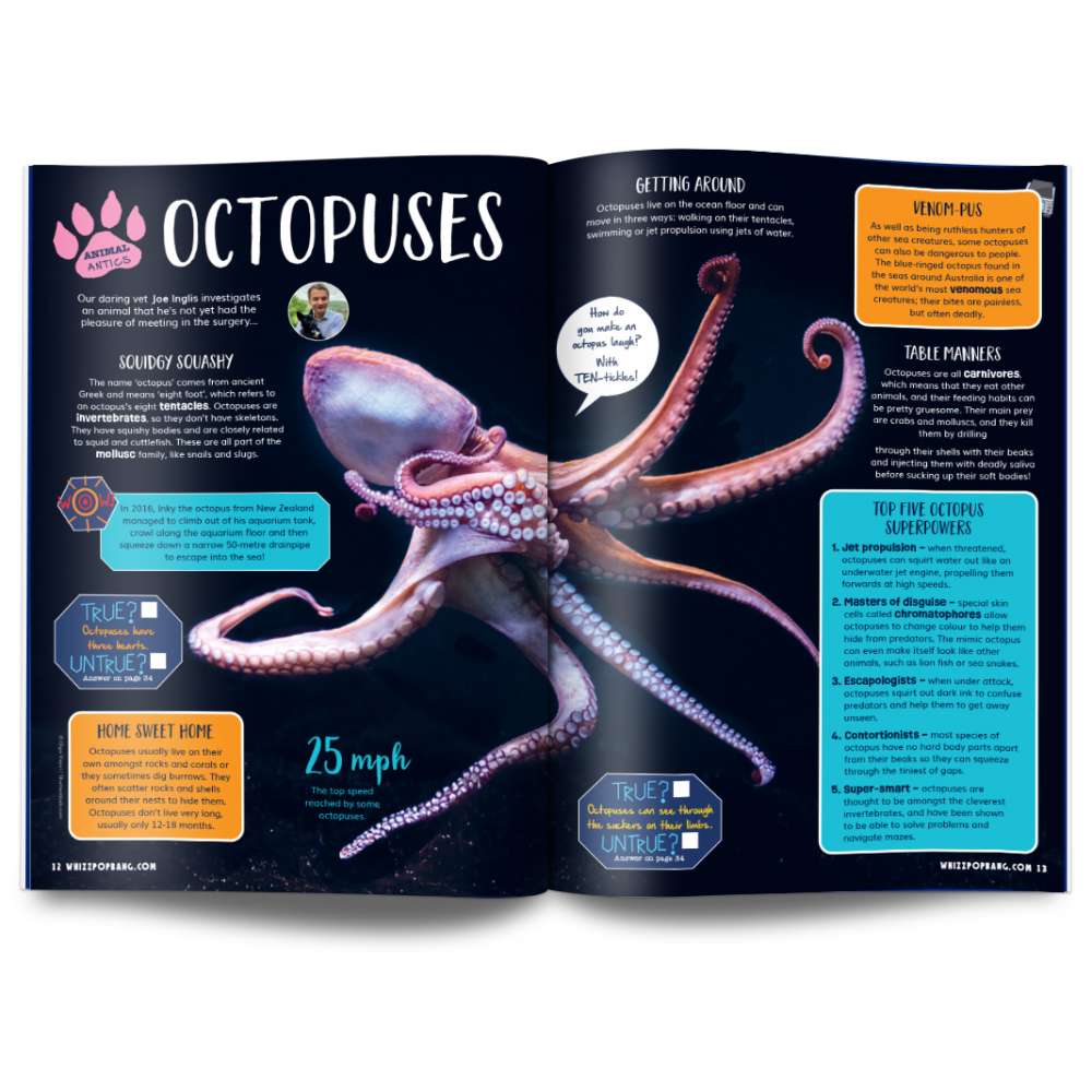 Issue 120 image 3