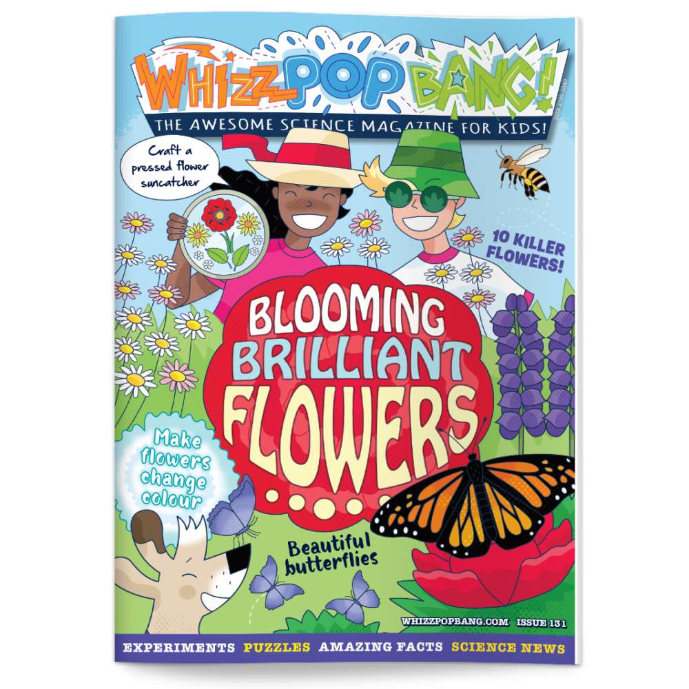 Issue 131 image 1