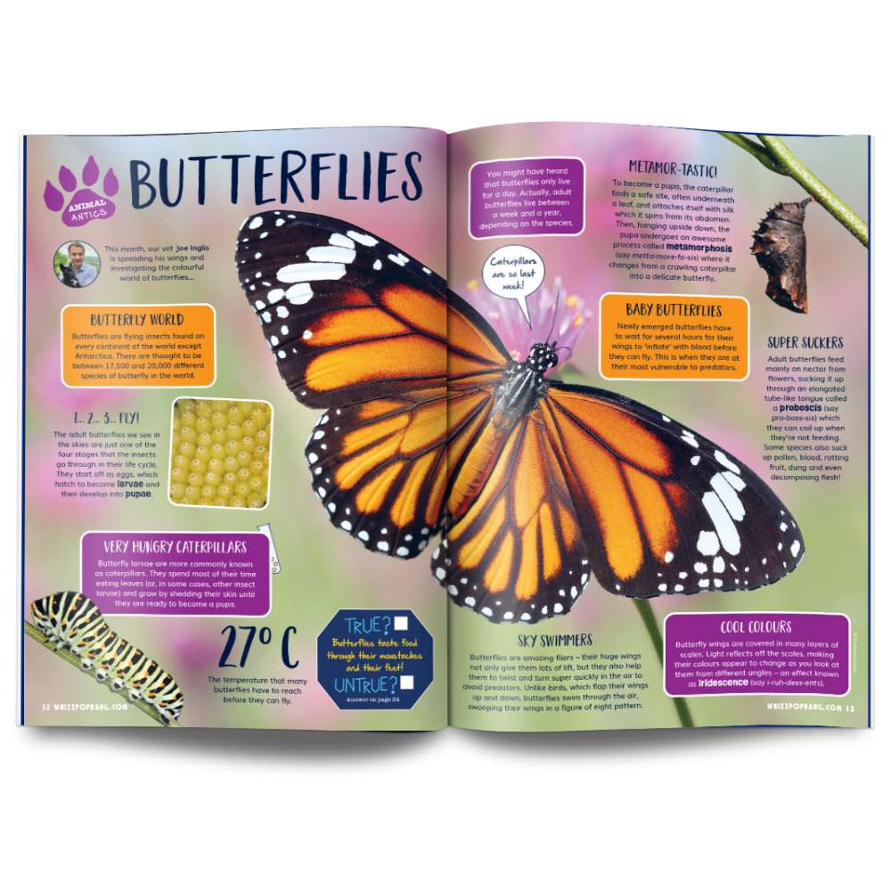 Issue 131 image 3