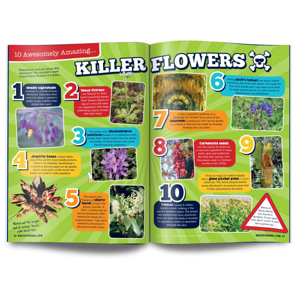 Issue 131 image 4