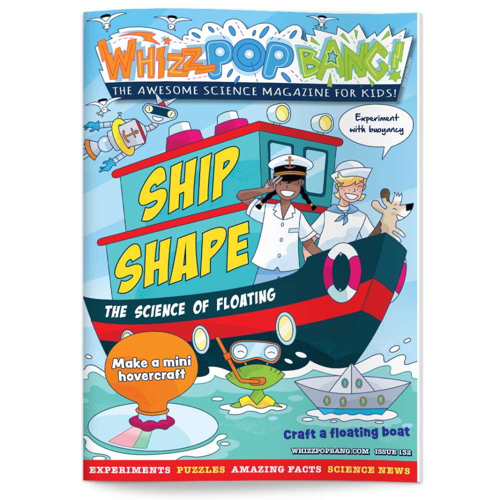 Issue 132 image 1
