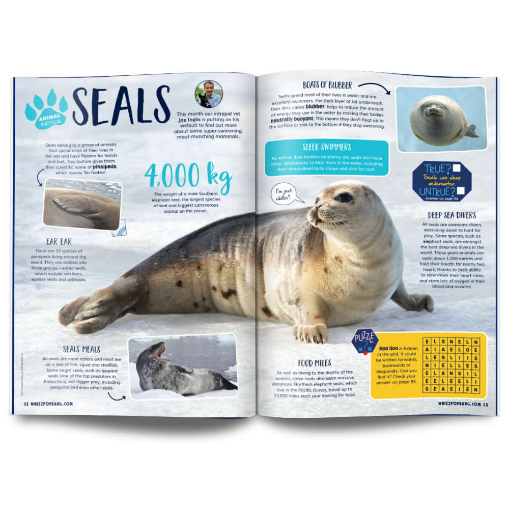 Issue 132 image 3