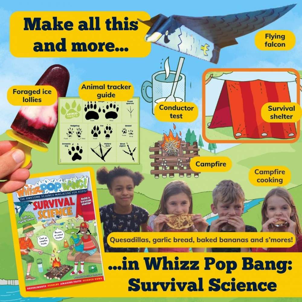 Issue 133 image 6