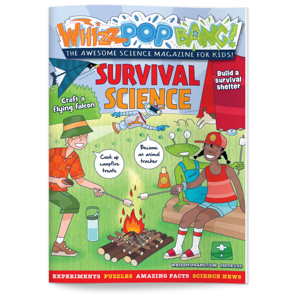 Issue 133 image 1