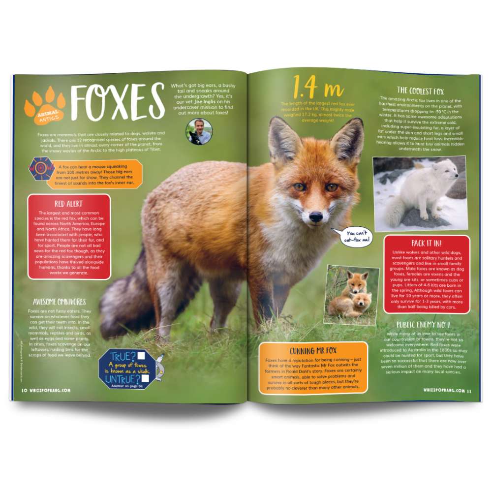 Issue 133 image 4