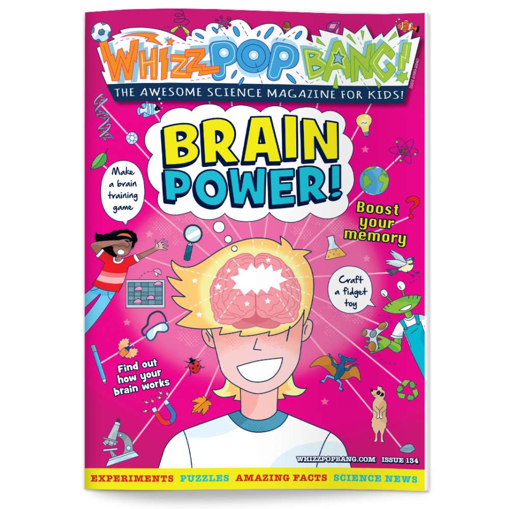 Issue 134 image 1