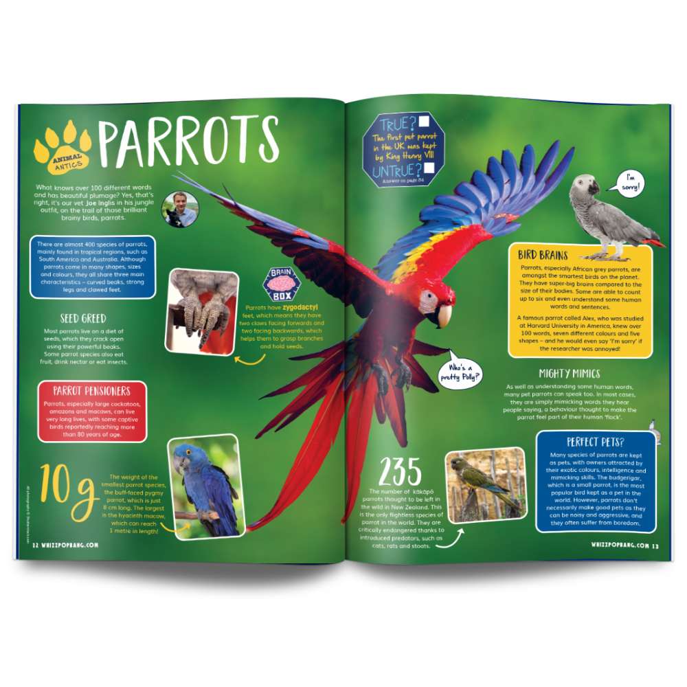 Issue 134 image 3