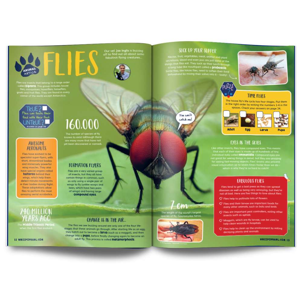 Issue 135 image 3