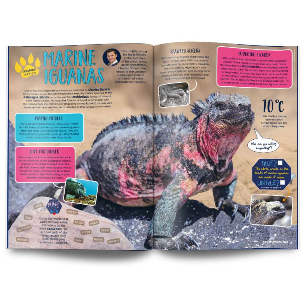 Issue 136 image 3