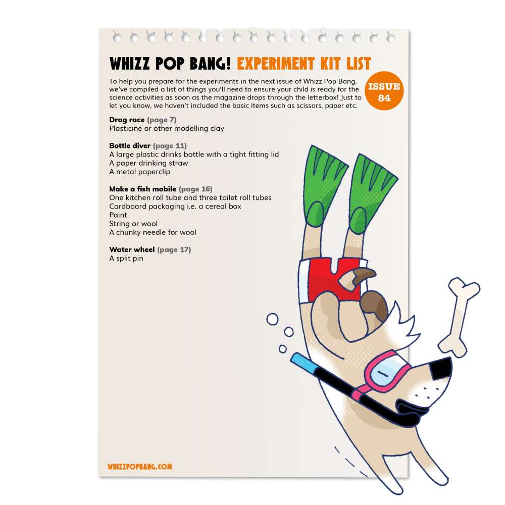Issue 84 image 6