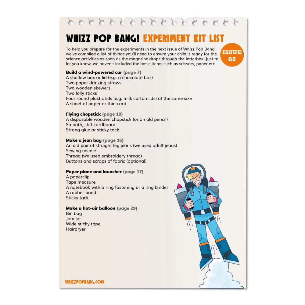 Issue 85 image 6