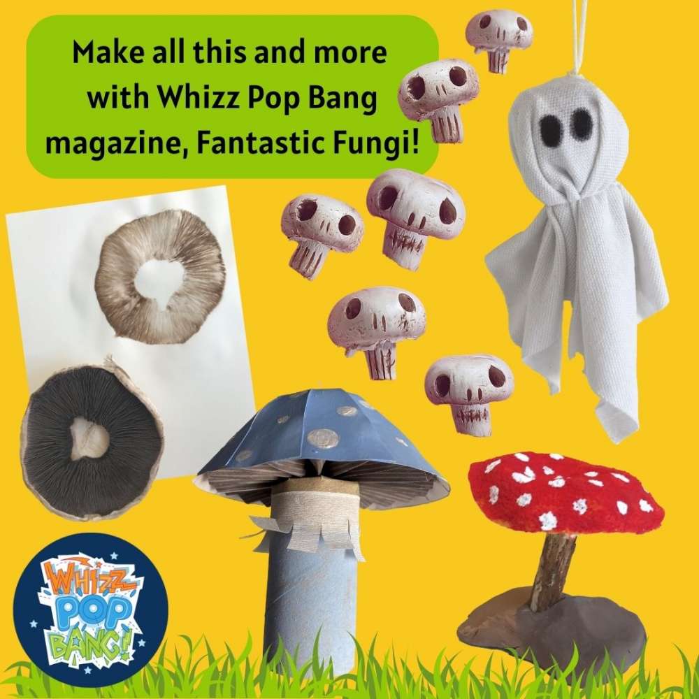 Issue 99 image 5