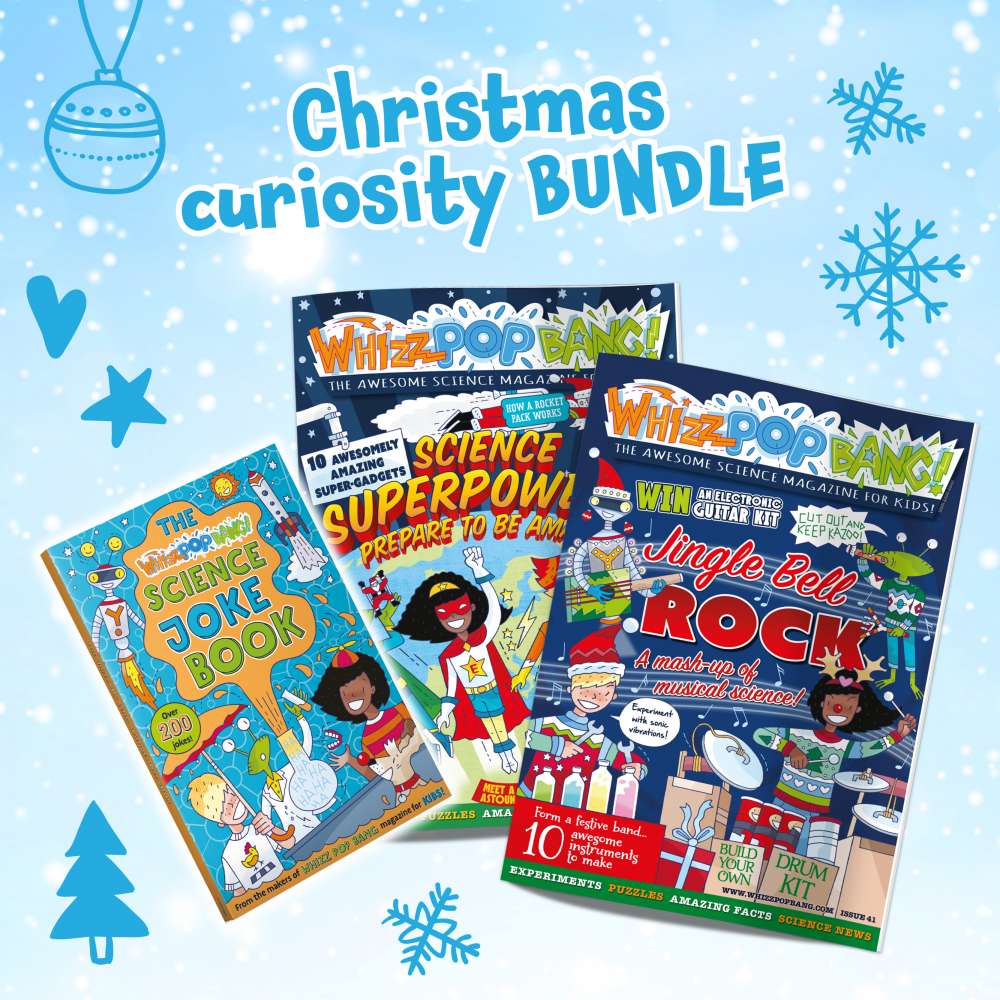 Christmas Curiosity Bundle image 1