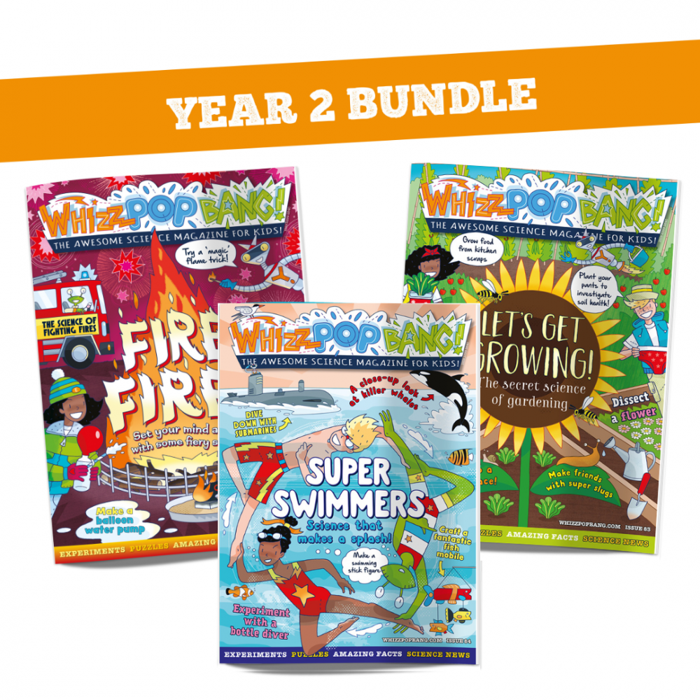 Year 2 bundle image 1