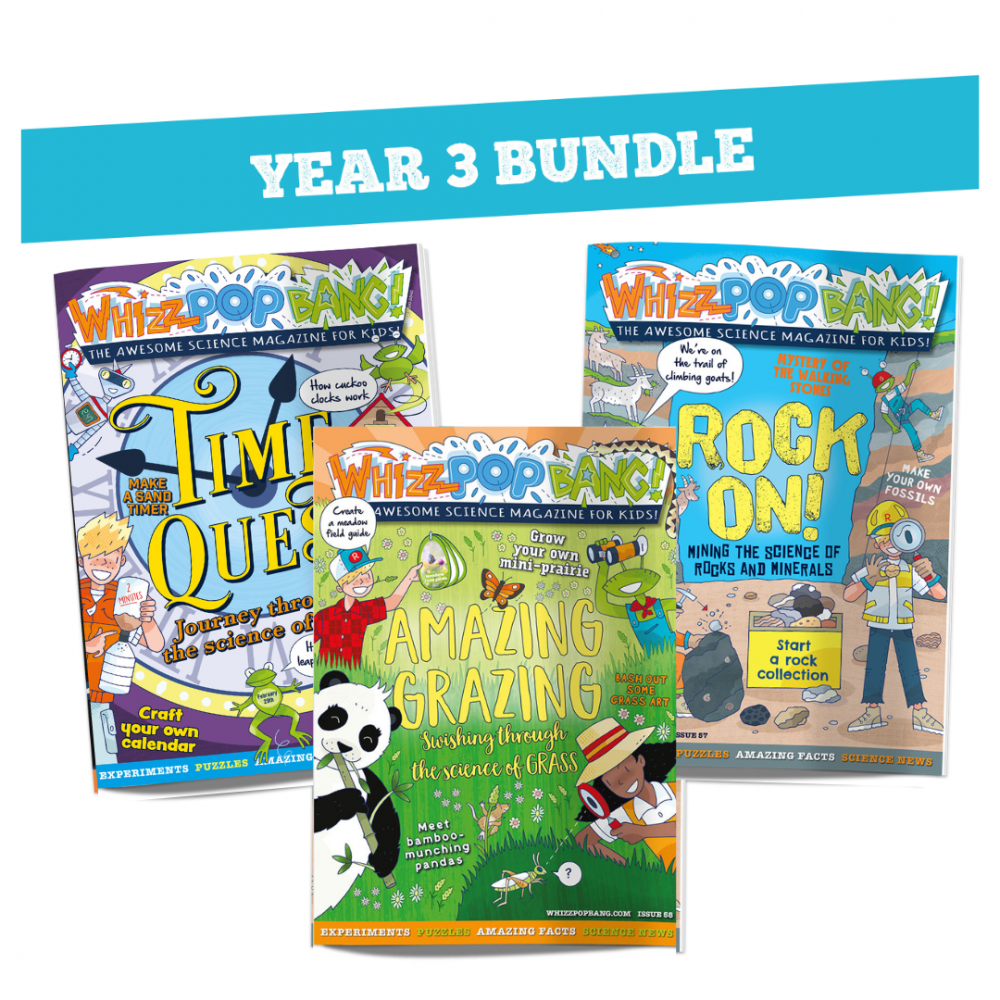 Year 3 bundle image 1