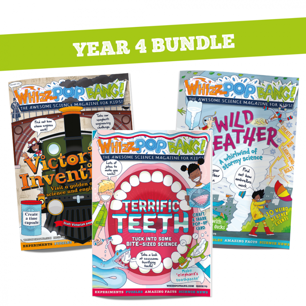 Year 4 bundle image 1