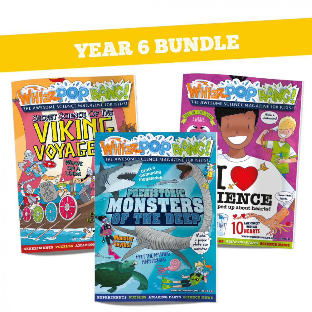 Year 6 bundle image 1
