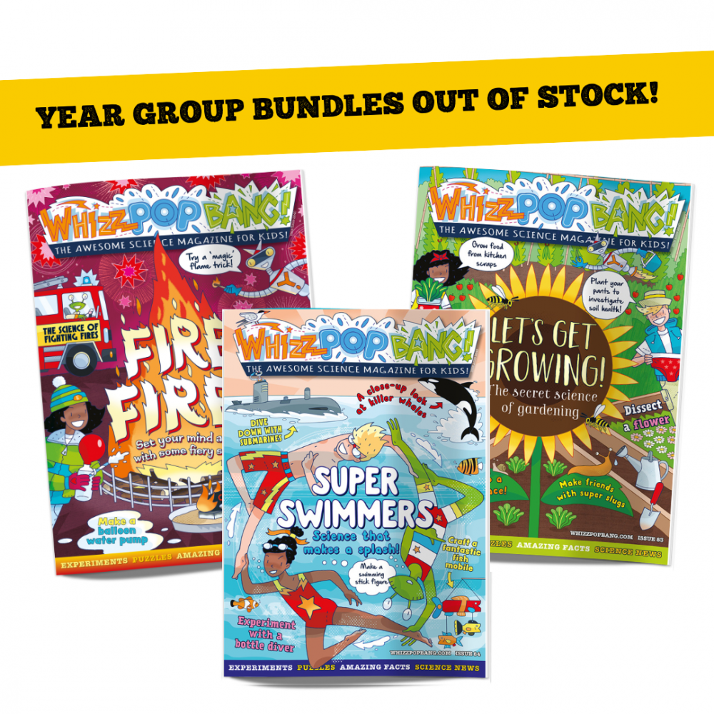 Year group bundles image 1