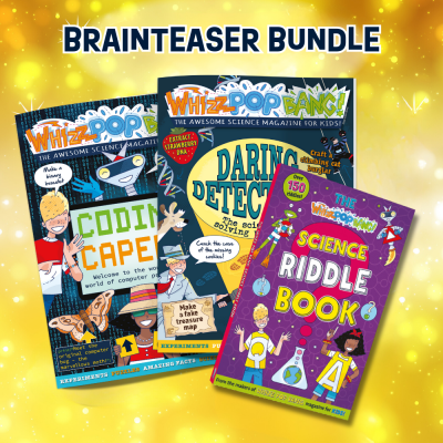 Brainteaser Bundle