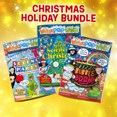 Christmas Holiday Bundle