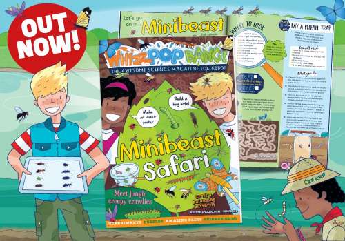 GET THE CURRENT ISSUE OF WHIZZ POP BANG