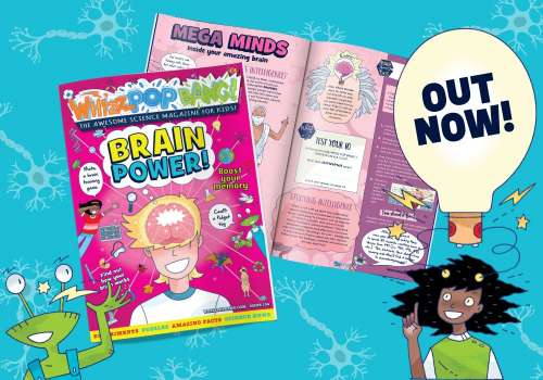 GET THE CURRENT ISSUE OF WHIZZ POP BANG