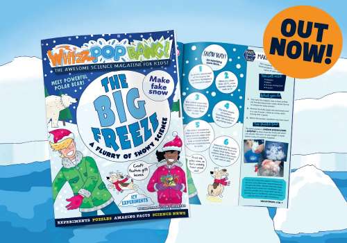 GET THE CURRENT ISSUE OF WHIZZ POP BANG