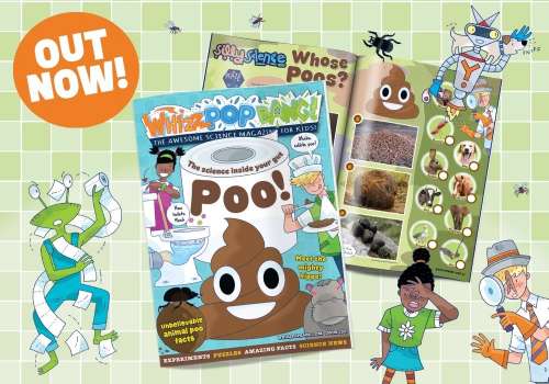 GET THE CURRENT ISSUE OF WHIZZ POP BANG
