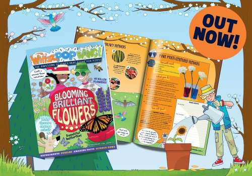 GET THE CURRENT ISSUE OF WHIZZ POP BANG