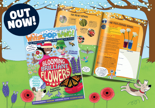 GET THE CURRENT ISSUE OF WHIZZ POP BANG