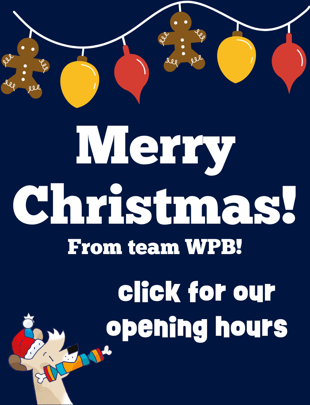 Check out our Christmas offers